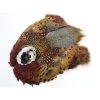 FlyCo Pheasant Skin Natural -Professionel Fiskeudstyrsbutik flyco pheasant skin no head natural