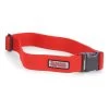 Simms Wading Belt 2" Simms Orange -Professionel Fiskeudstyrsbutik simms wading belt 2 simms orange